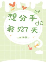 分手33天电视剧